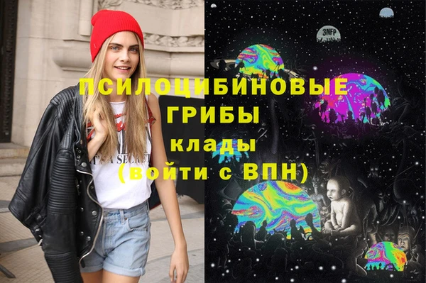 дживик Беломорск